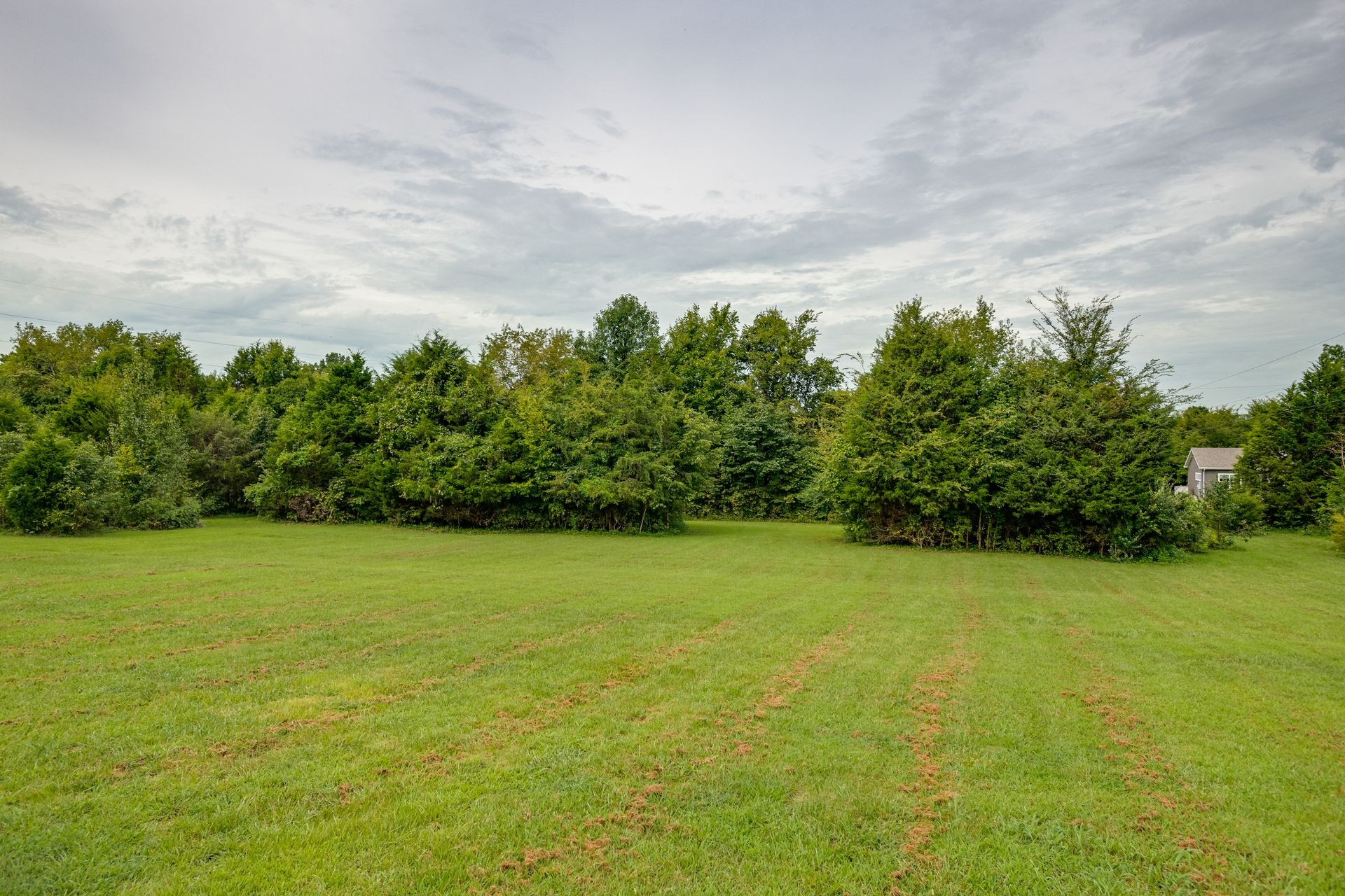 3321 Mahlon Moore Road Spring Hill, TN 37174 - Photo 3 of 22 a view of a large yard with lots of green space