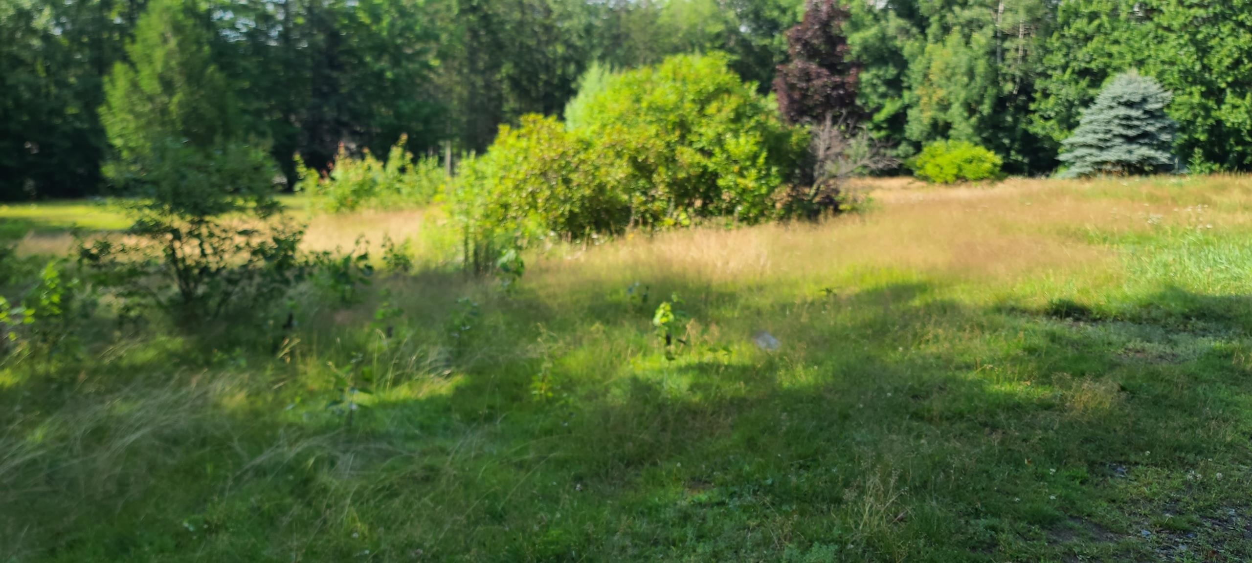 71 Stevens Hill Road Colebrook, NH 03576 - Photo 13 of 13