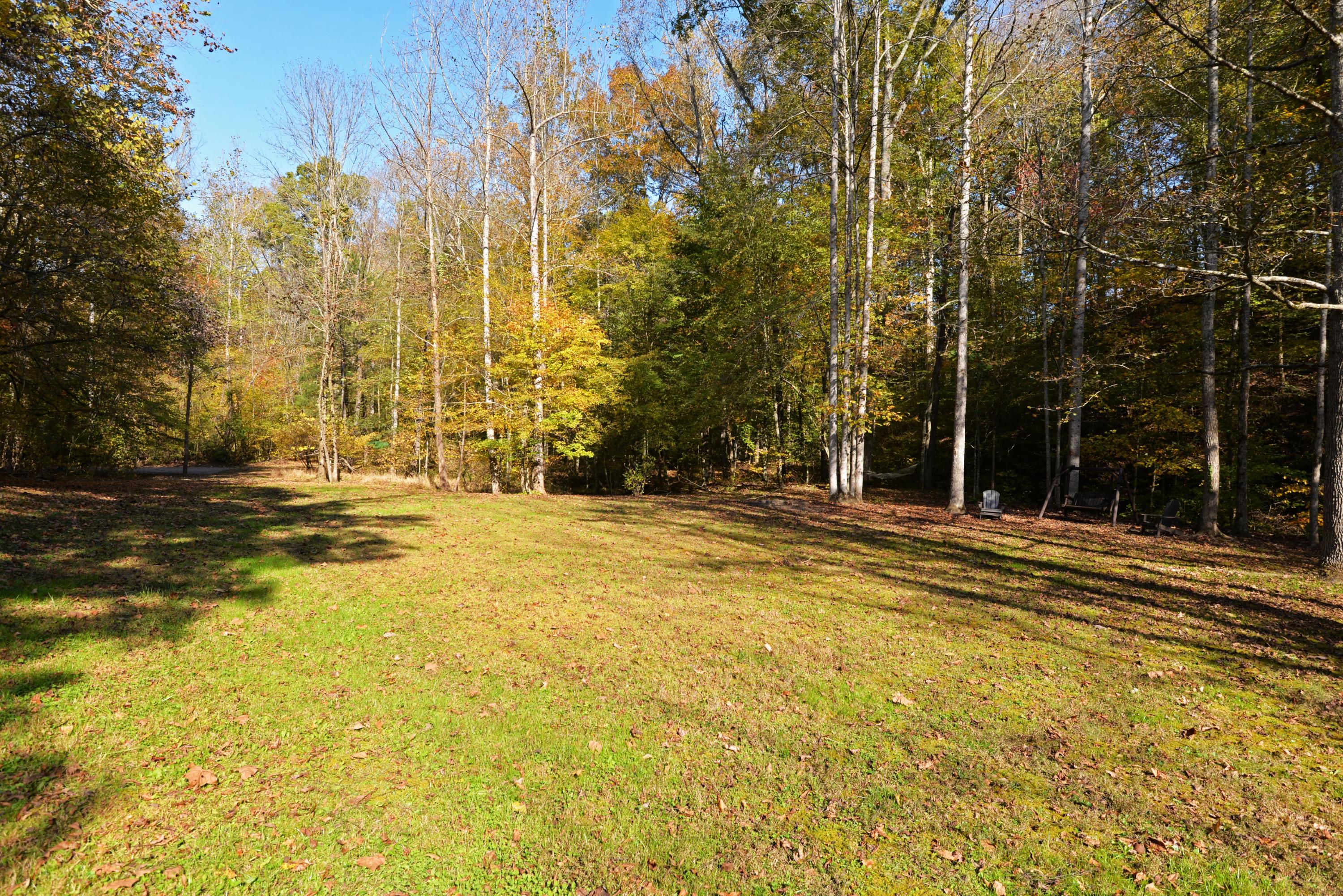 867 Welcome Valley Road Benton, TN 37307 - Photo 40 of 122 Clearing