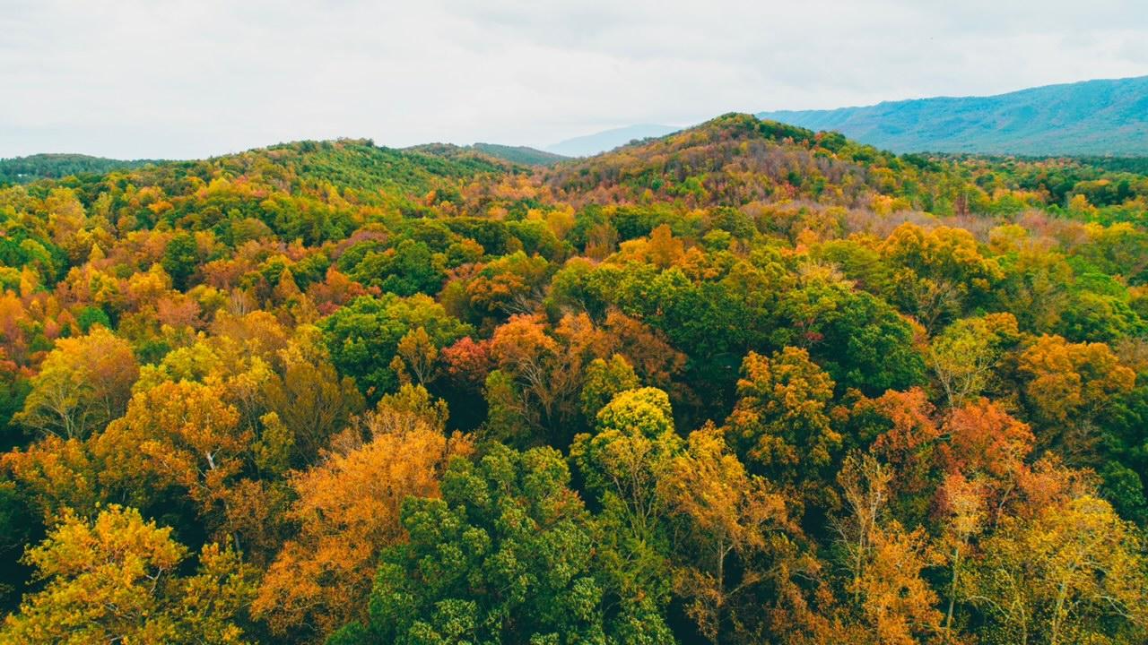 867 Welcome Valley Road Benton, TN 37307 - Photo 5 of 122 Seller's Treetops Aerial