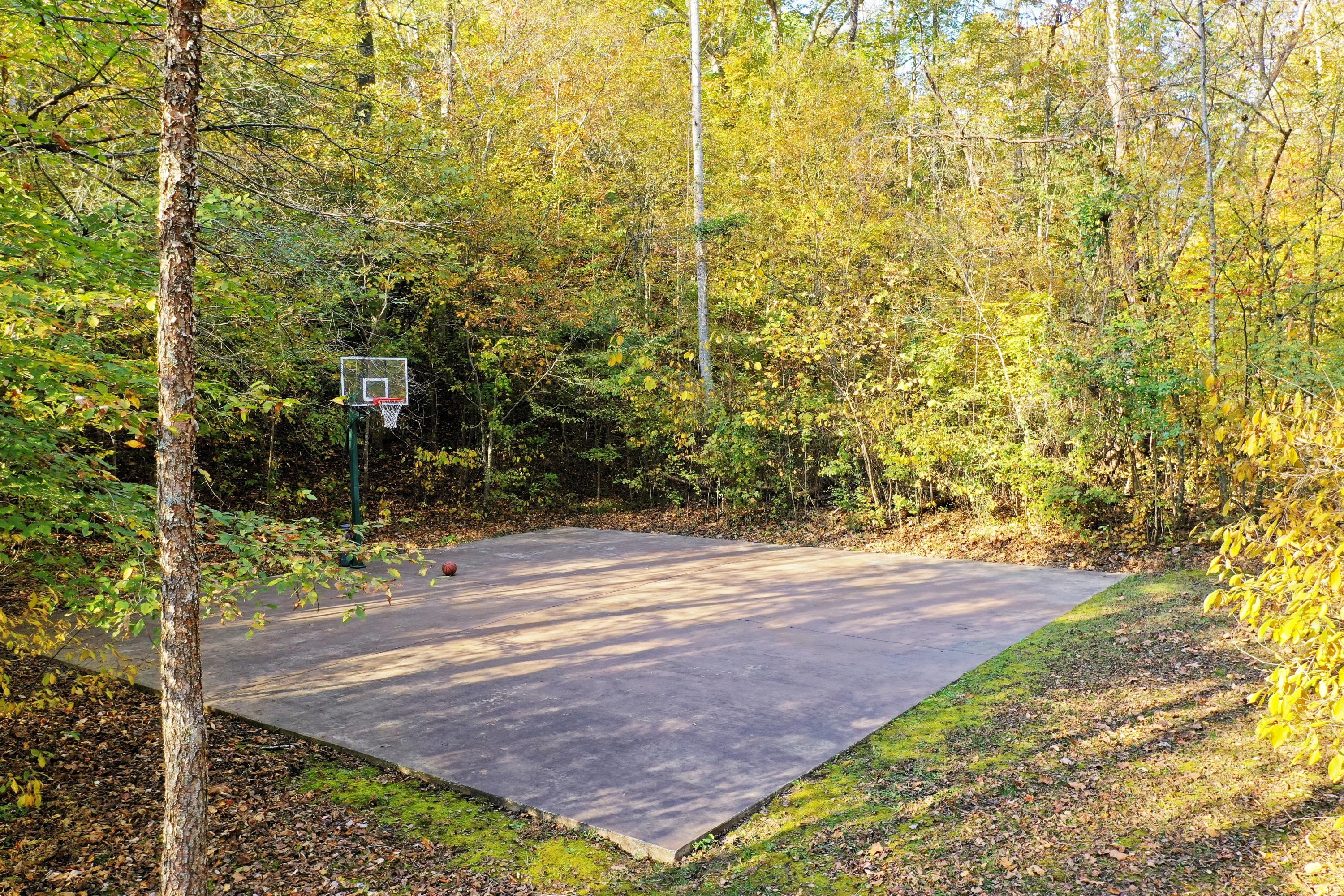 867 Welcome Valley Road Benton, TN 37307 - Photo 42 of 122 Basketball court - med