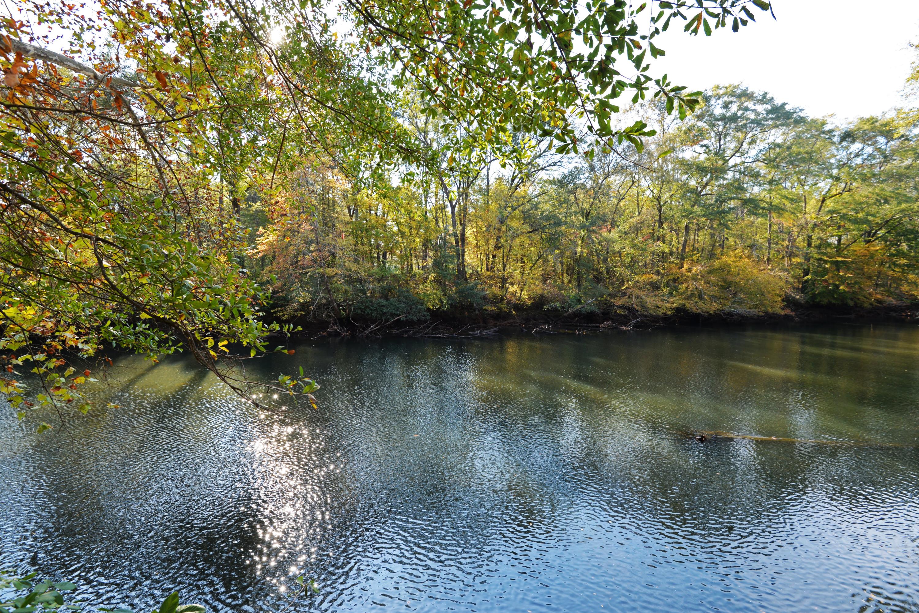 867 Welcome Valley Road Benton, TN 37307 - Photo 47 of 122 Pavillion water view