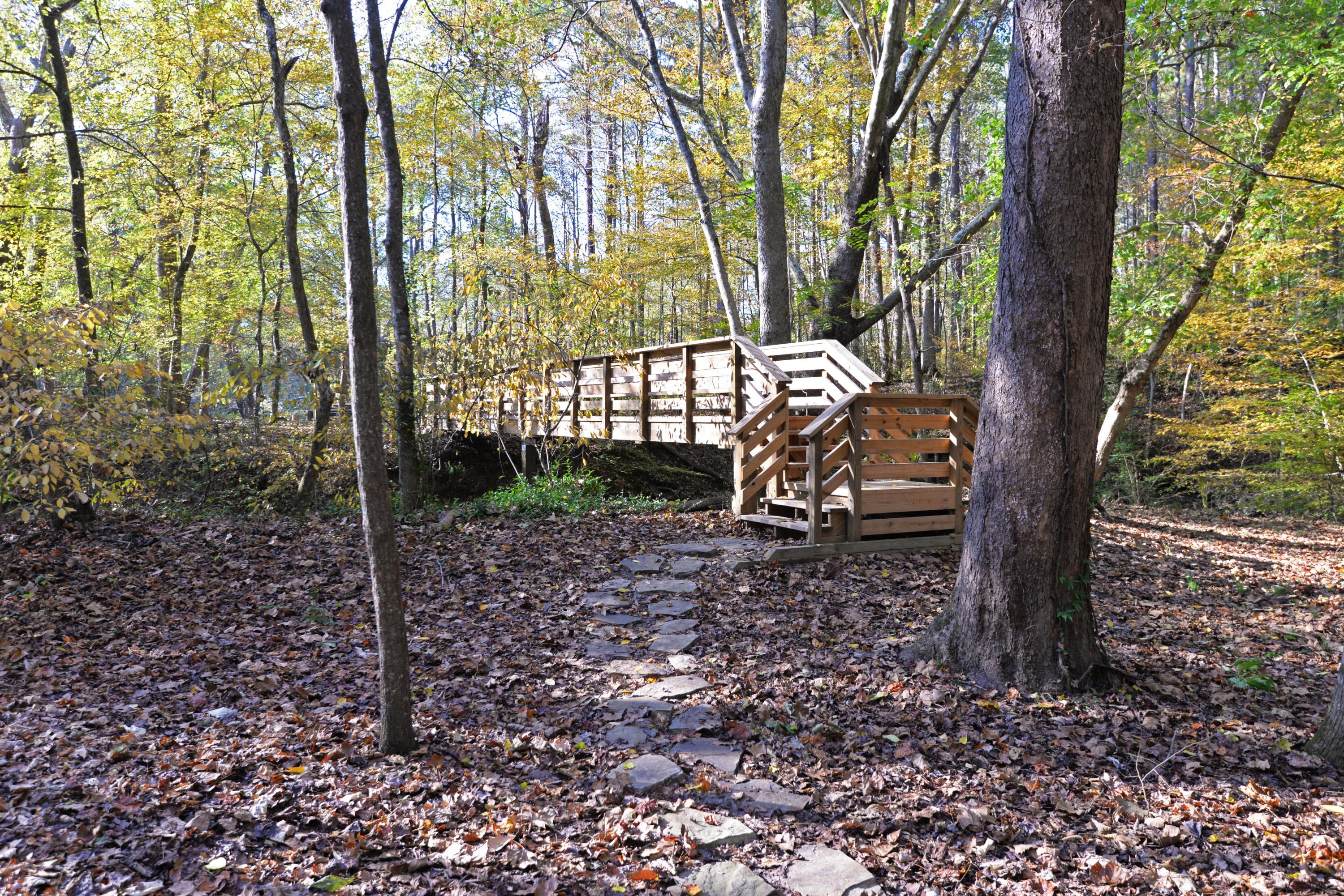 867 Welcome Valley Road Benton, TN 37307 - Photo 55 of 122 Bridge view 1