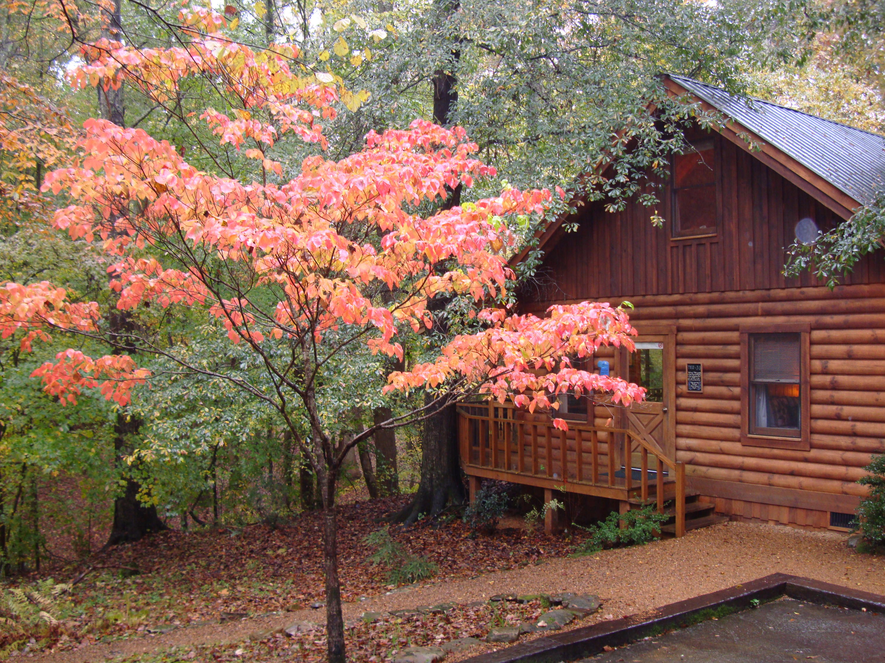 867 Welcome Valley Road Benton, TN 37307 - Photo 74 of 122 Creek Crest Cabin Fall
