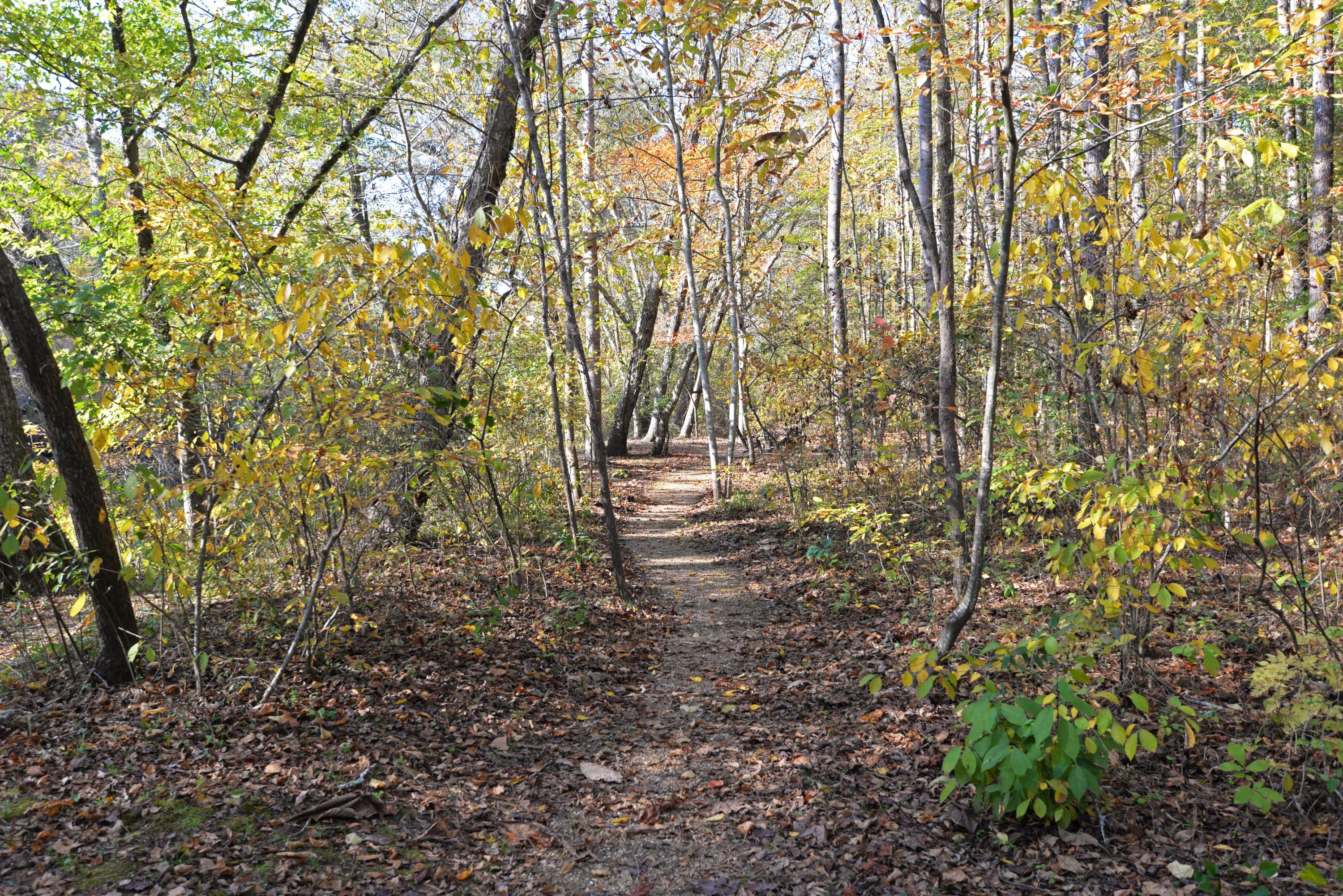 867 Welcome Valley Road Benton, TN 37307 - Photo 85 of 122 Path from Creek Crest to other cabin