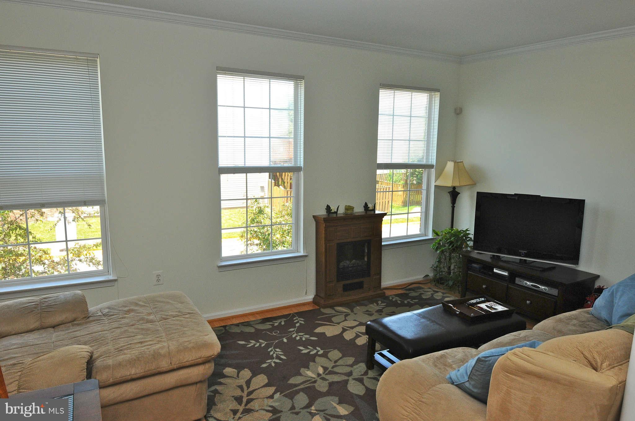 21476 Tamarack Ridge Square Sterling, VA 20164 - Photo 8 of 19 Family Room