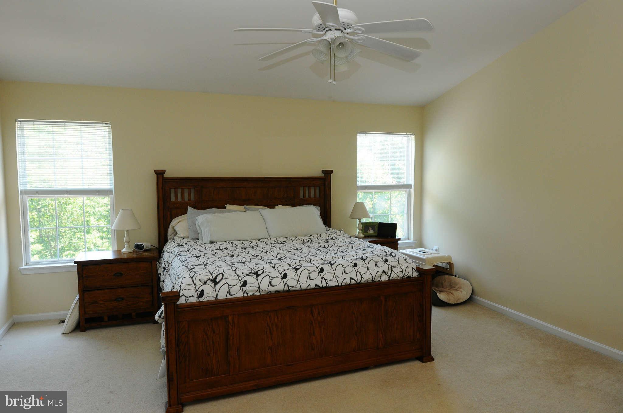 21476 Tamarack Ridge Square Sterling, VA 20164 - Photo 9 of 19 Bedroom Master