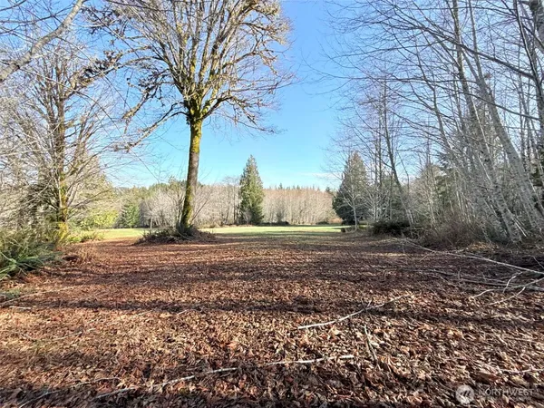 $299,900 | 5951 West Satsop Cloquallum Road, Elma, WA 98541