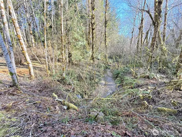 $299,900 | 5951 West Satsop Cloquallum Road, Elma, WA 98541