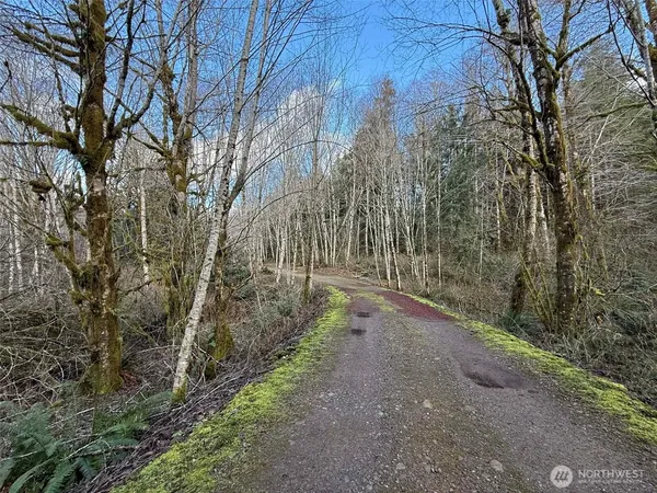 $299,900 | 5951 West Satsop Cloquallum Road, Elma, WA 98541