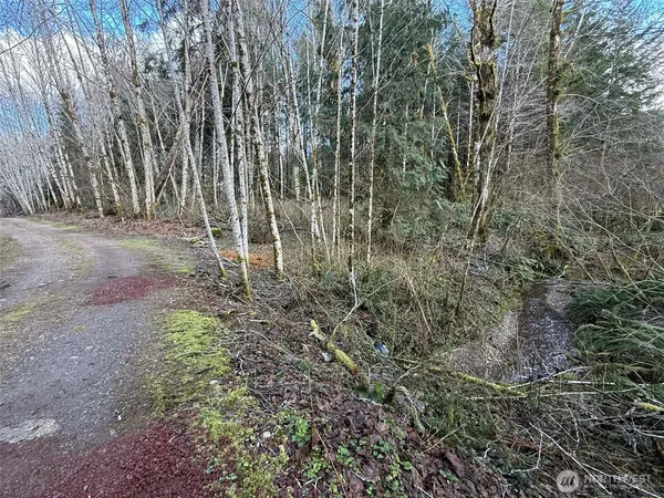 $299,900 | 5951 West Satsop Cloquallum Road, Elma, WA 98541