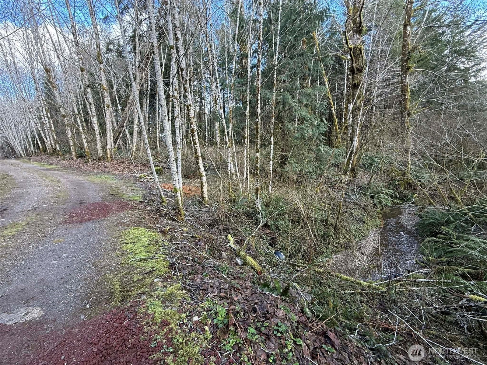 5951 West Satsop Cloquallum Road Elma, WA 98541 - Photo 15 of 33