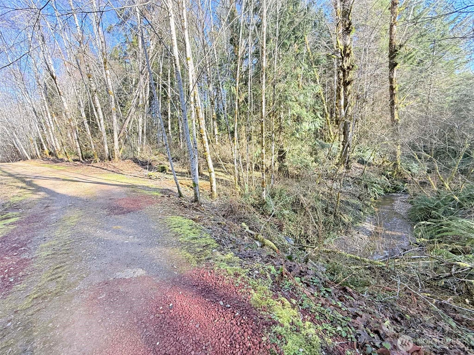 5951 West Satsop Cloquallum Road Elma, WA 98541 - Photo 16 of 33