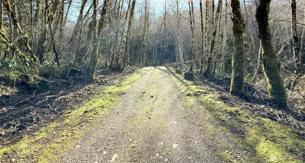 $299,900 | 5951 West Satsop Cloquallum Road, Elma, WA 98541