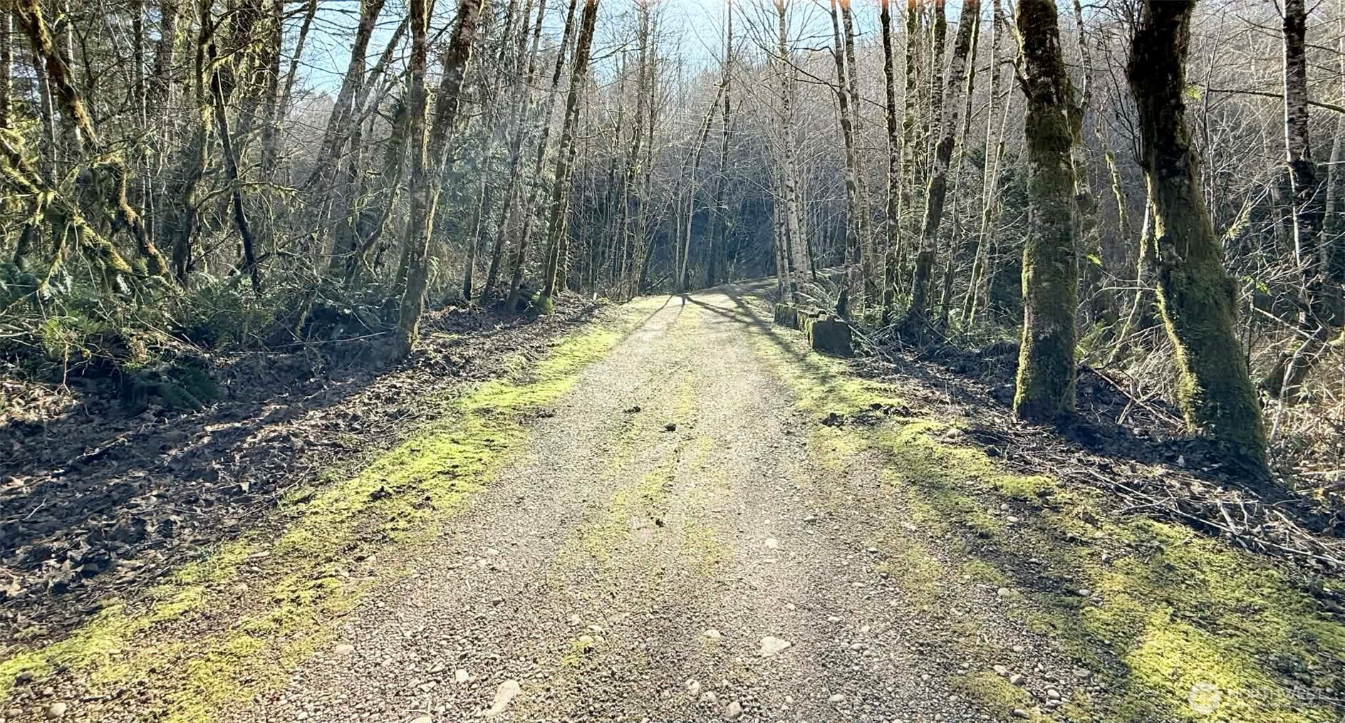 5951 West Satsop Cloquallum Road Elma, WA 98541 - Photo 17 of 33