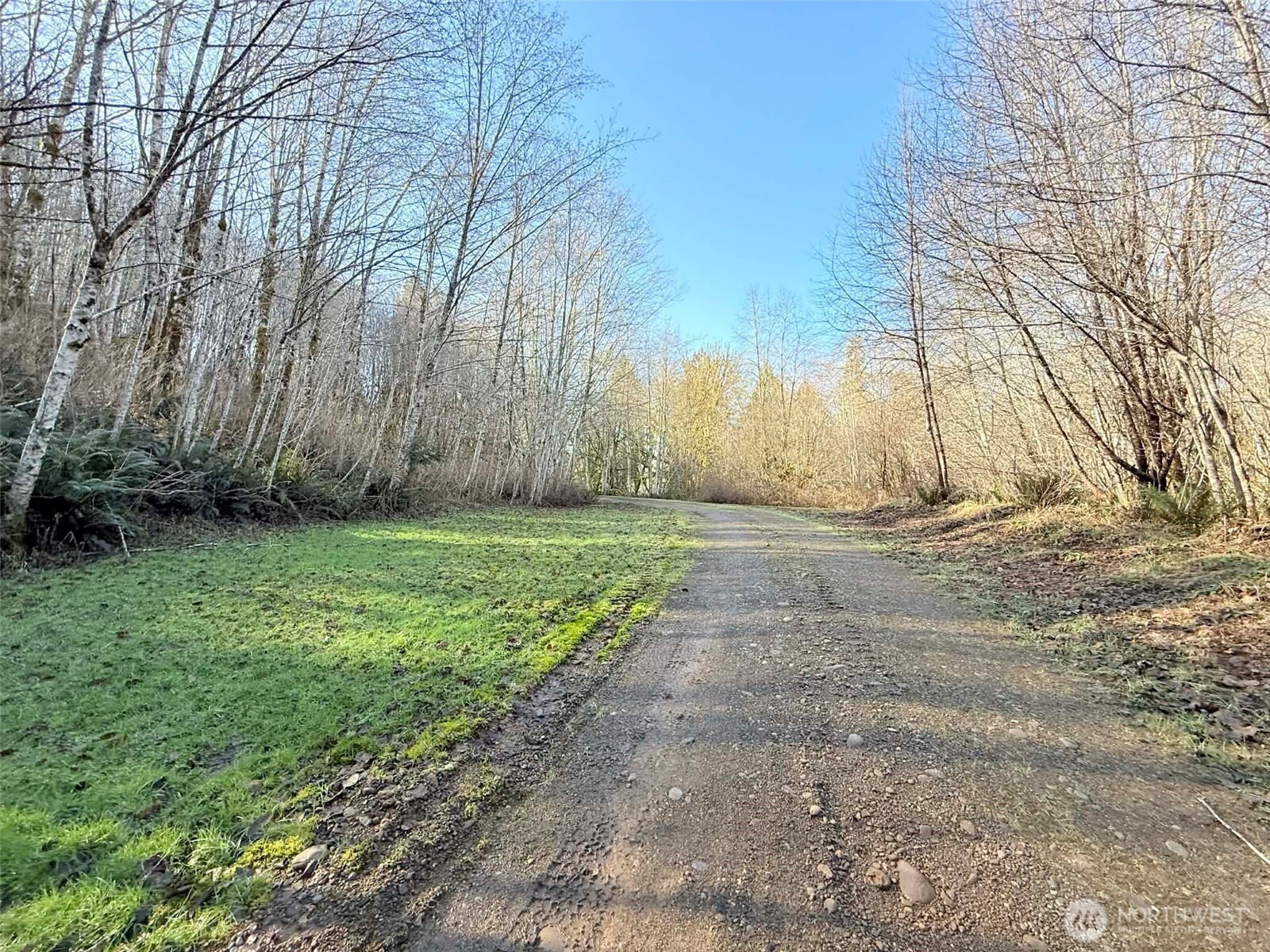 5951 West Satsop Cloquallum Road Elma, WA 98541 - Photo 19 of 33