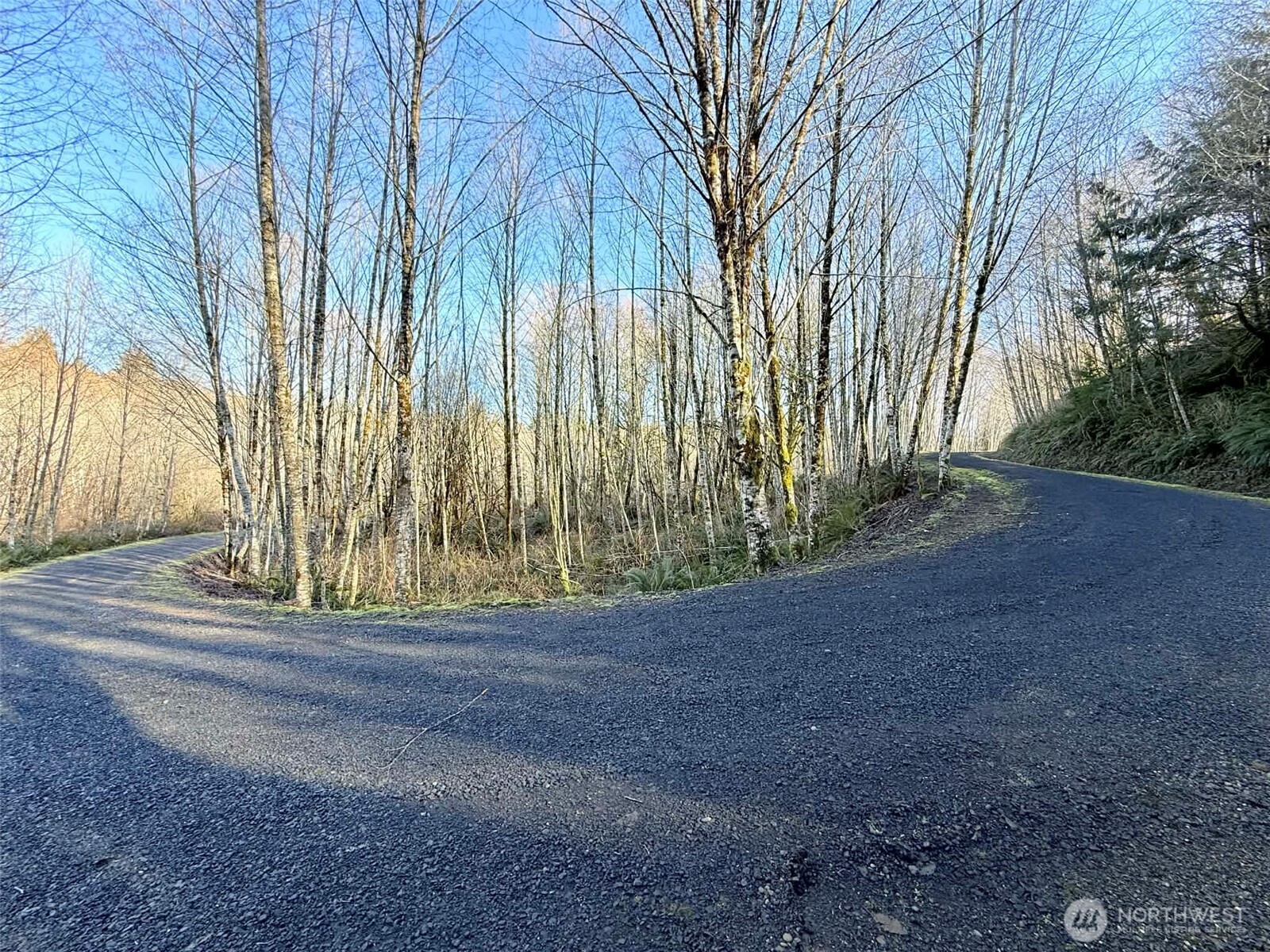 5951 West Satsop Cloquallum Road Elma, WA 98541 - Photo 20 of 33