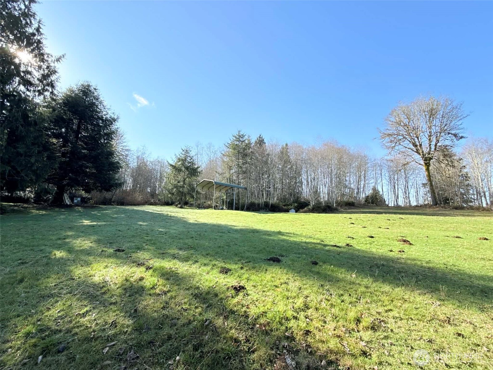 5951 West Satsop Cloquallum Road Elma, WA 98541 - Photo 2 of 33