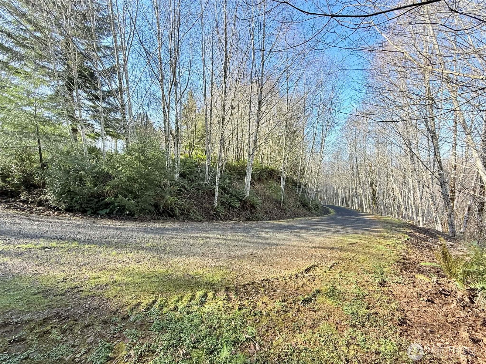 5951 West Satsop Cloquallum Road Elma, WA 98541 - Photo 21 of 33