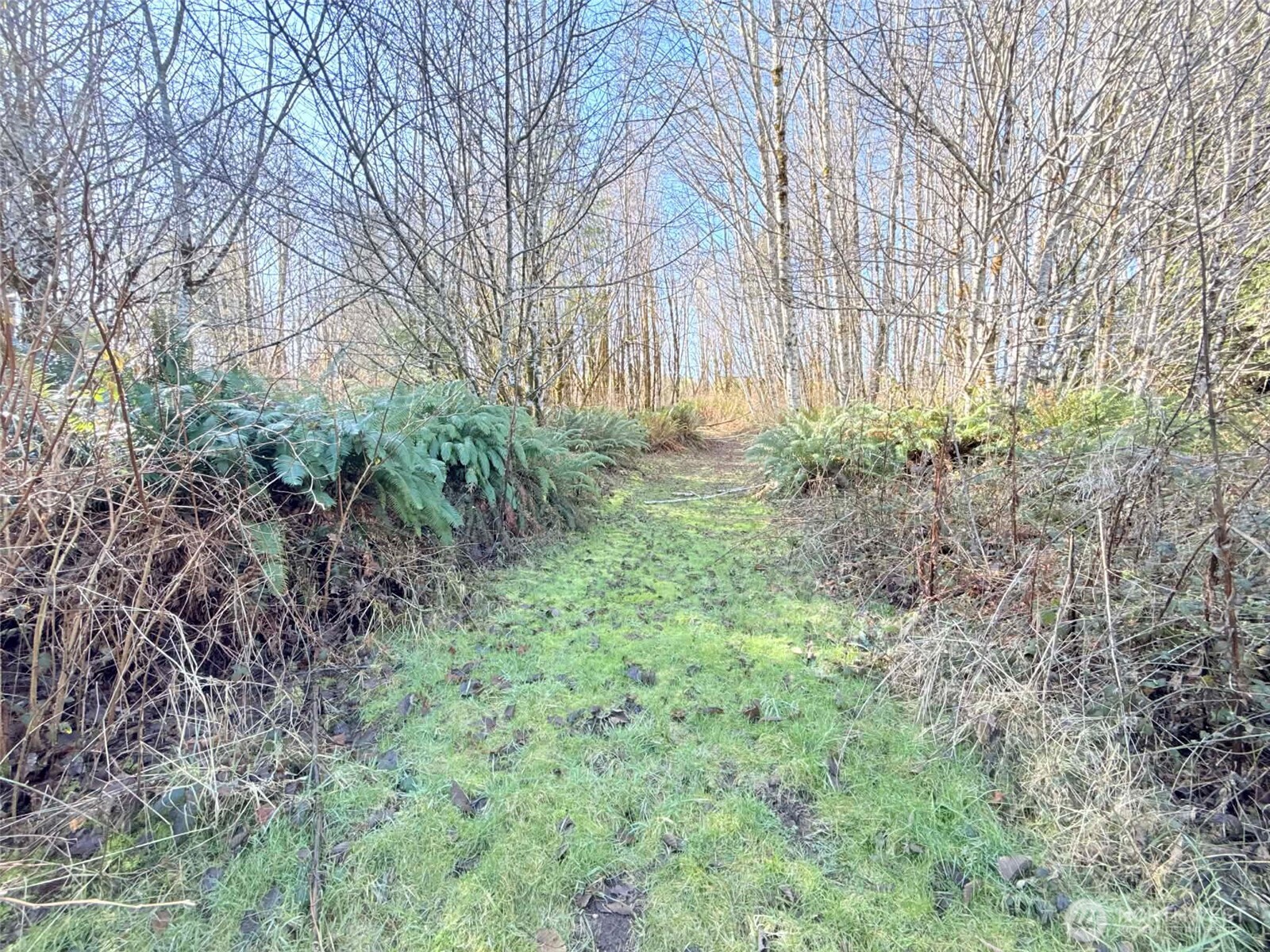 5951 West Satsop Cloquallum Road Elma, WA 98541 - Photo 22 of 33