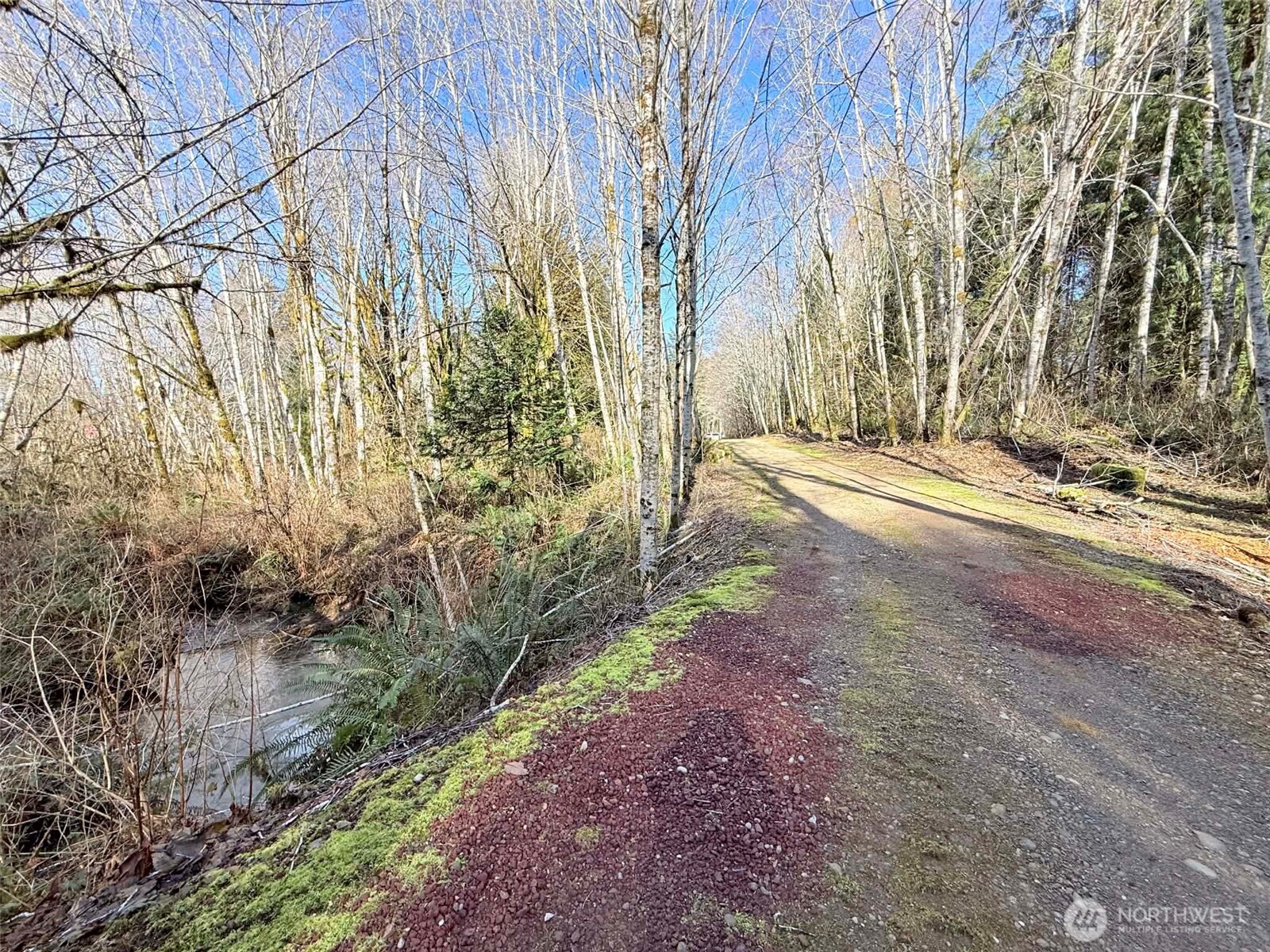 5951 West Satsop Cloquallum Road Elma, WA 98541 - Photo 24 of 33