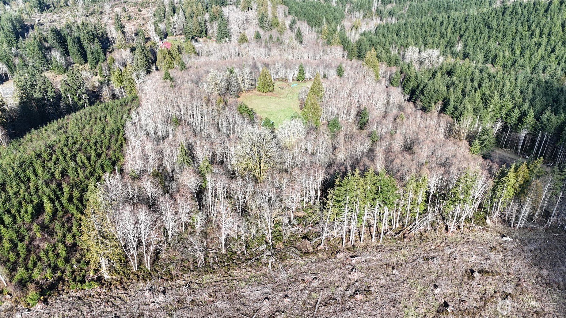 5951 West Satsop Cloquallum Road Elma, WA 98541 - Photo 27 of 33