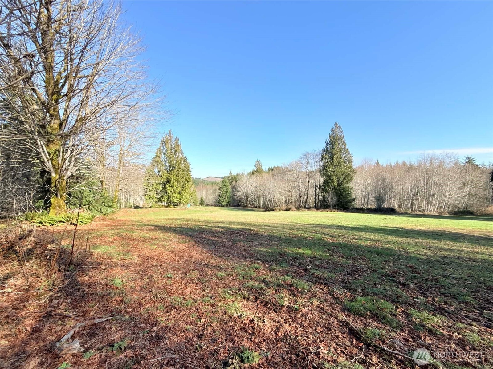 5951 West Satsop Cloquallum Road Elma, WA 98541 - Photo 3 of 33