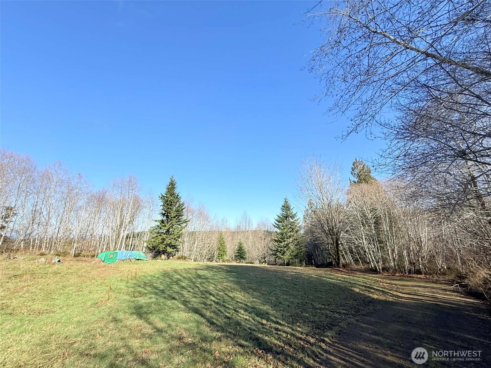 5951 West Satsop Cloquallum Road Elma, WA 98541 - Photo 4 of 33