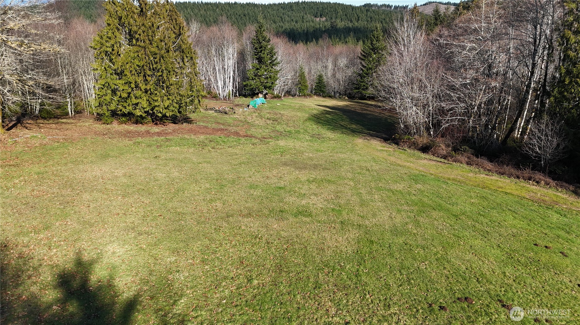 5951 West Satsop Cloquallum Road Elma, WA 98541 - Photo 7 of 33