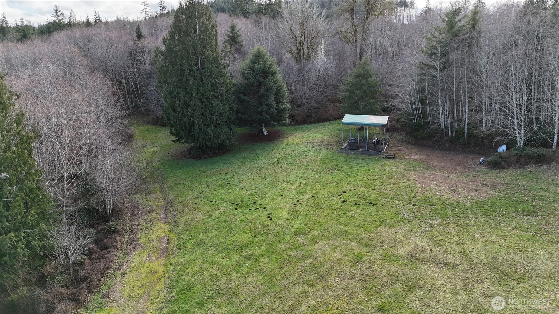 5951 West Satsop Cloquallum Road Elma, WA 98541 - Photo 8 of 33