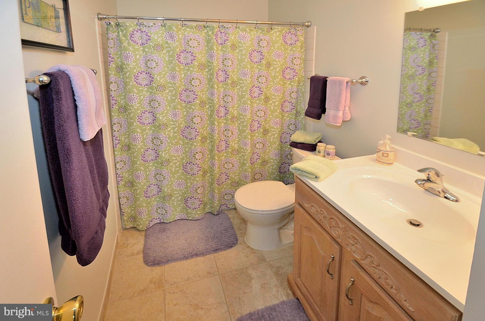 1730 Ivy Oak Square Reston, VA 20190 - Photo 18 of 25 Bath
