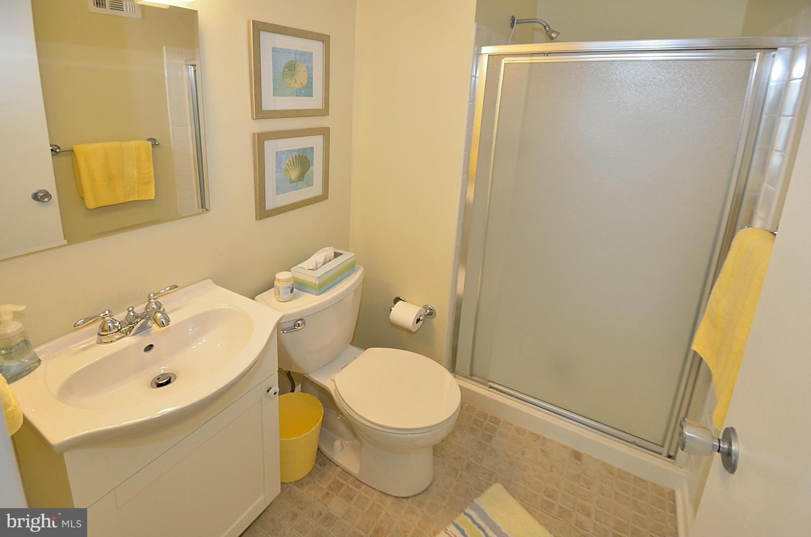 1730 Ivy Oak Square Reston, VA 20190 - Photo 23 of 25 Bath (Master)