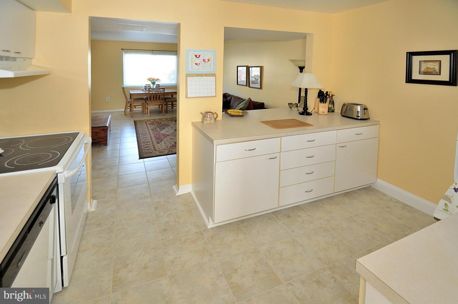 1730 Ivy Oak Square Reston, VA 20190 - Photo 10 of 25 Kitchen