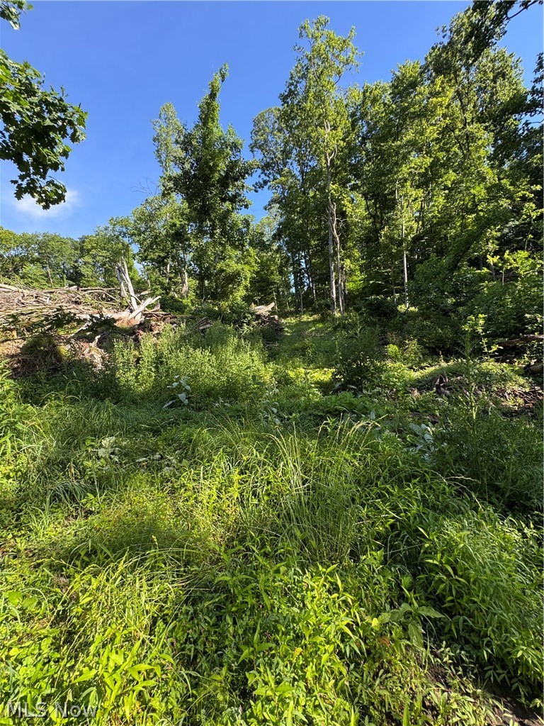 Stone Quarry Road Danville, OH 43014 - Photo 35 of 50