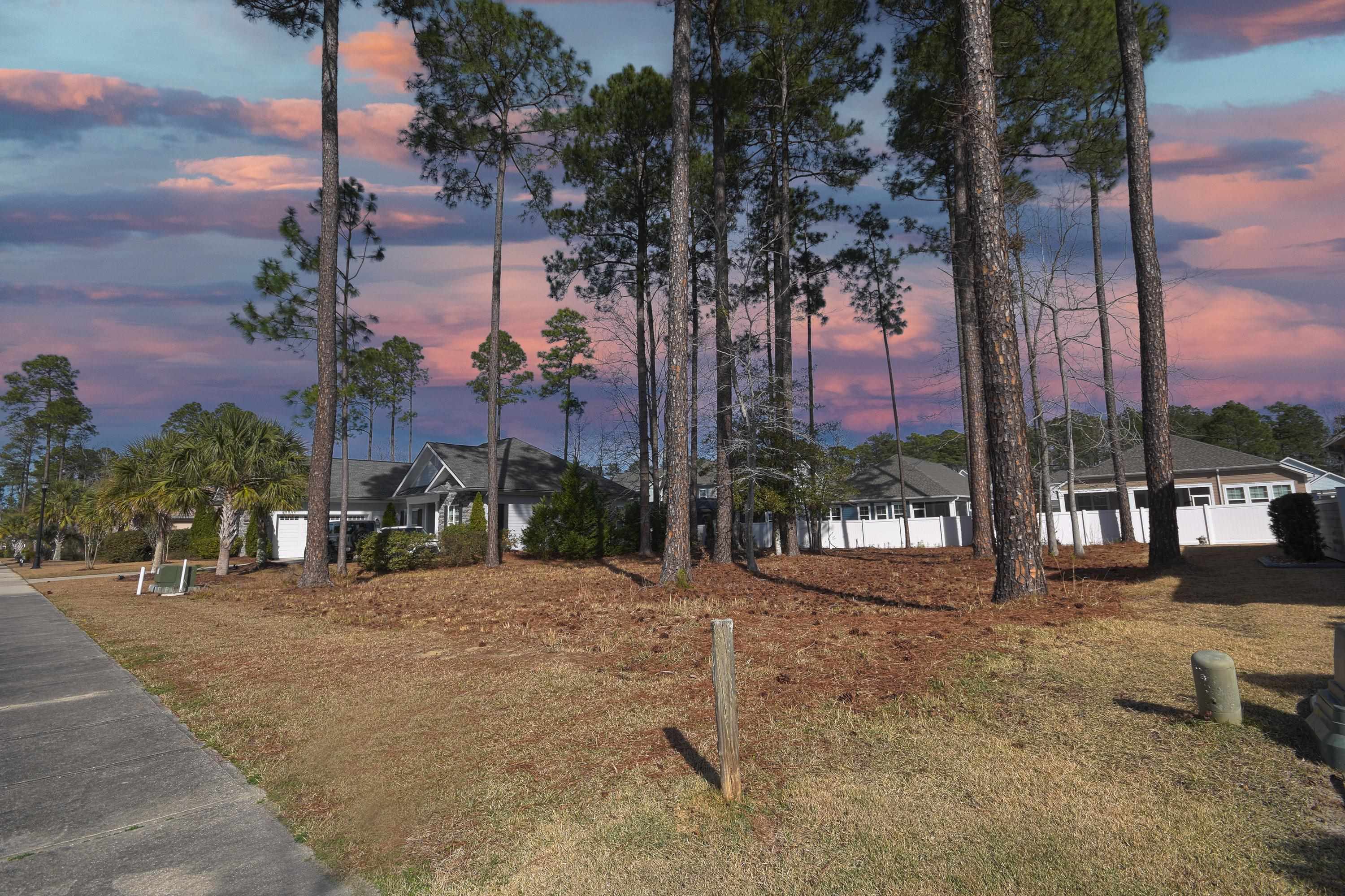 2816 McLeod Lane Myrtle Beach, SC 29588 - Photo 3 of 12