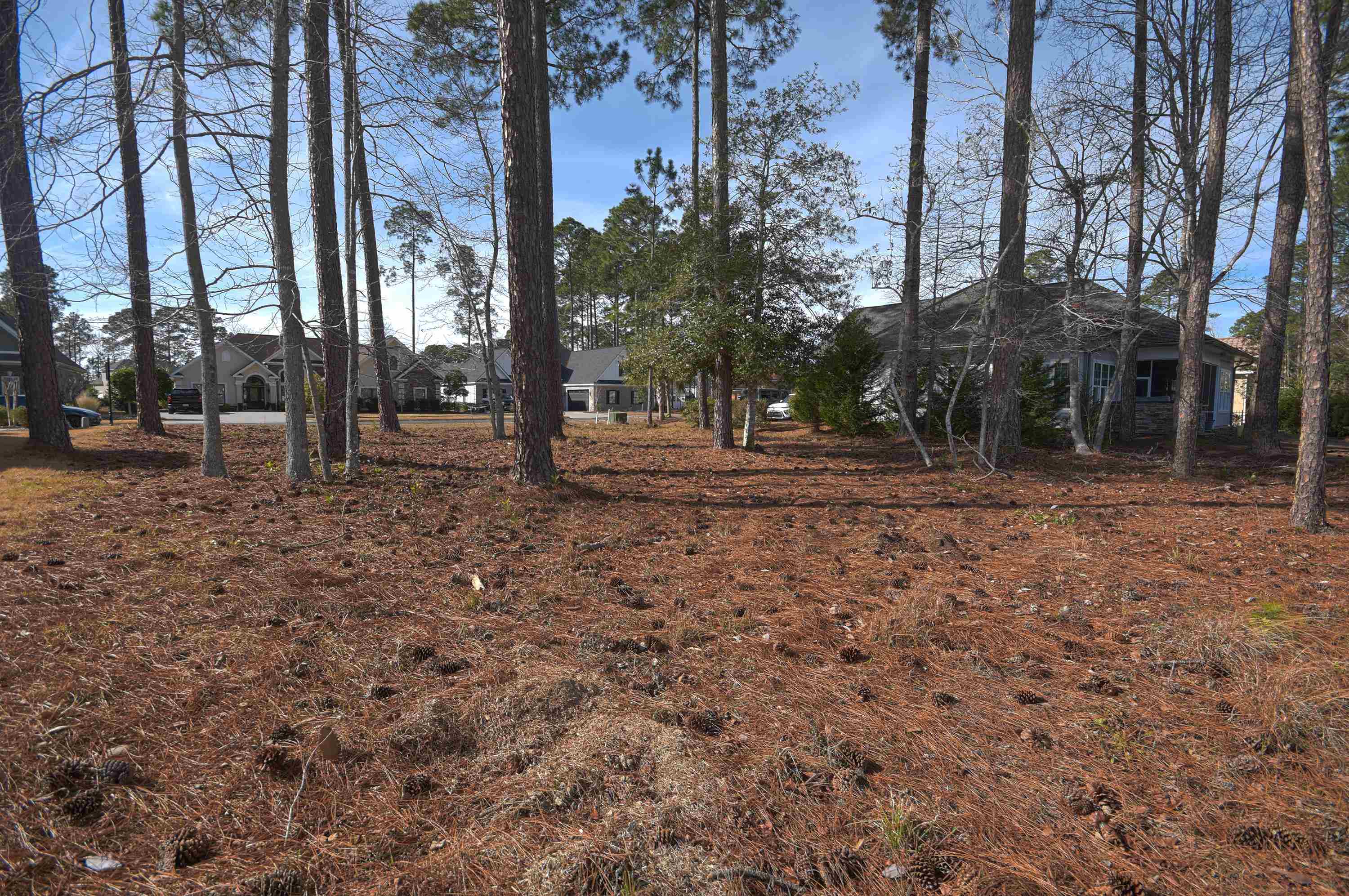 2816 McLeod Lane Myrtle Beach, SC 29588 - Photo 7 of 12