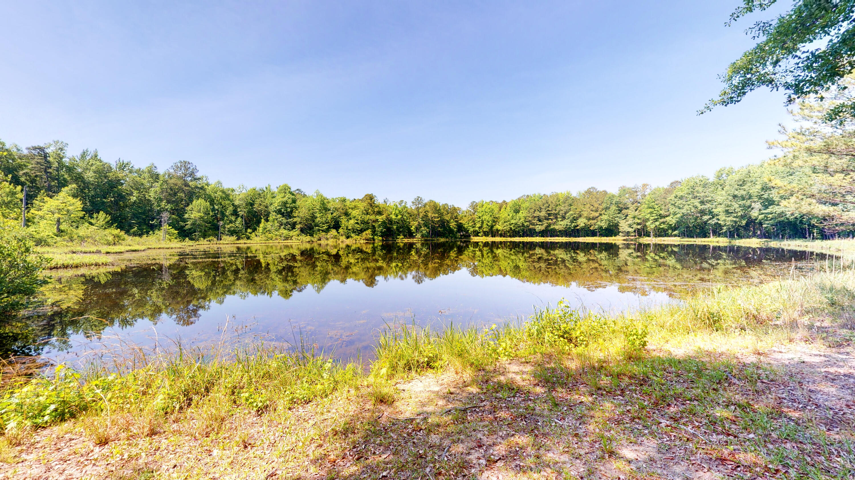 260 Holmes Pond Road Johnston, SC 29832 - Photo 5 of 16