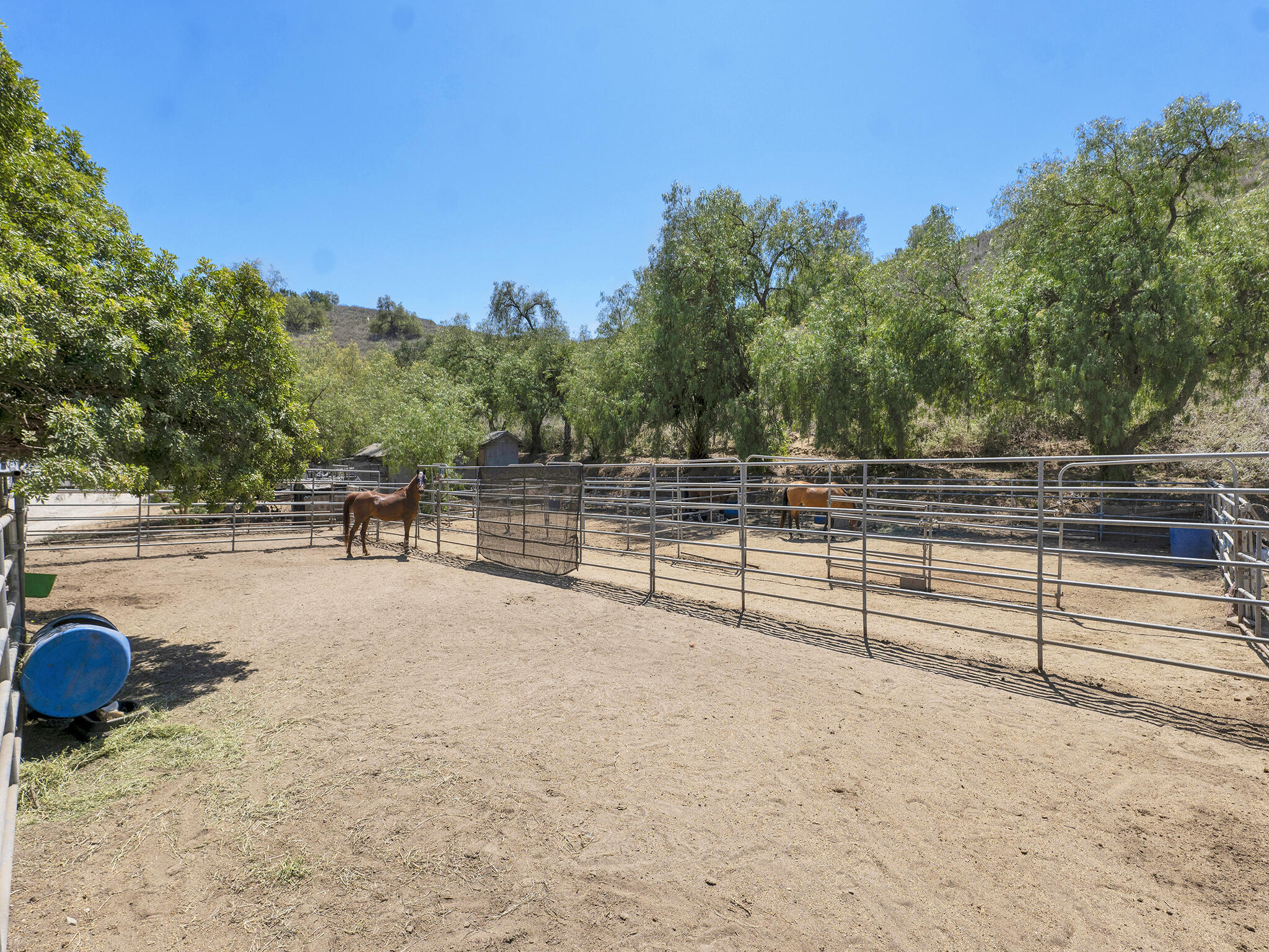 7905 Balcom Canyon Road Somis, CA 93066 - Photo 77 of 96 7905 Balcom Canyon Rd, Somis -HsHProd-90