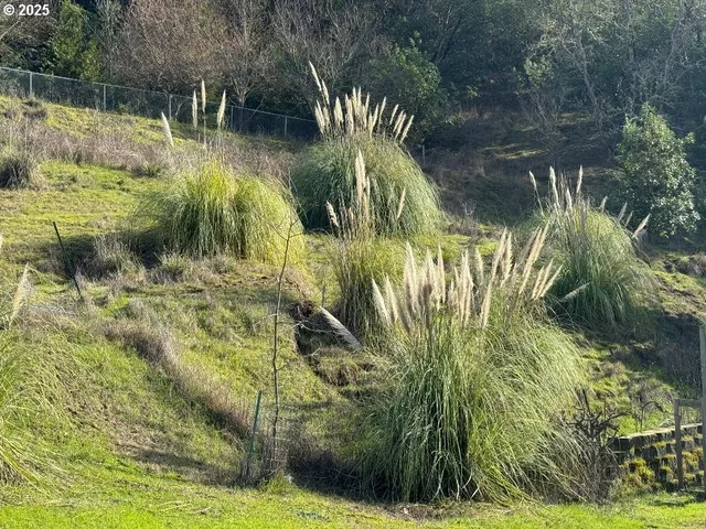 $270,000 | 424 Aker Drive, Myrtle Creek, OR 97457