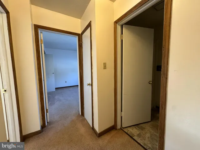 a view of a hallway with two windows