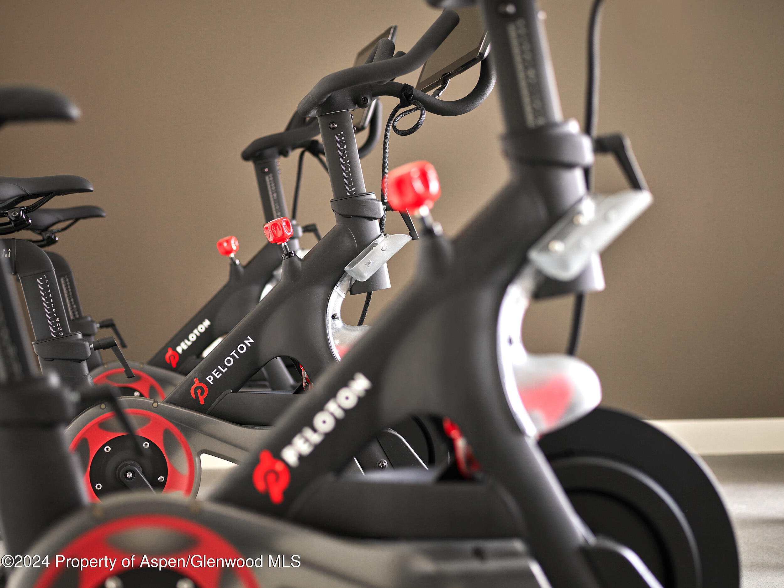 77 Wood Road, Unit 50704 Snowmass Village, CO 81615 - Photo 16 of 18 onesnowmass_fitnessdetails2_WEB_LOWRES_2