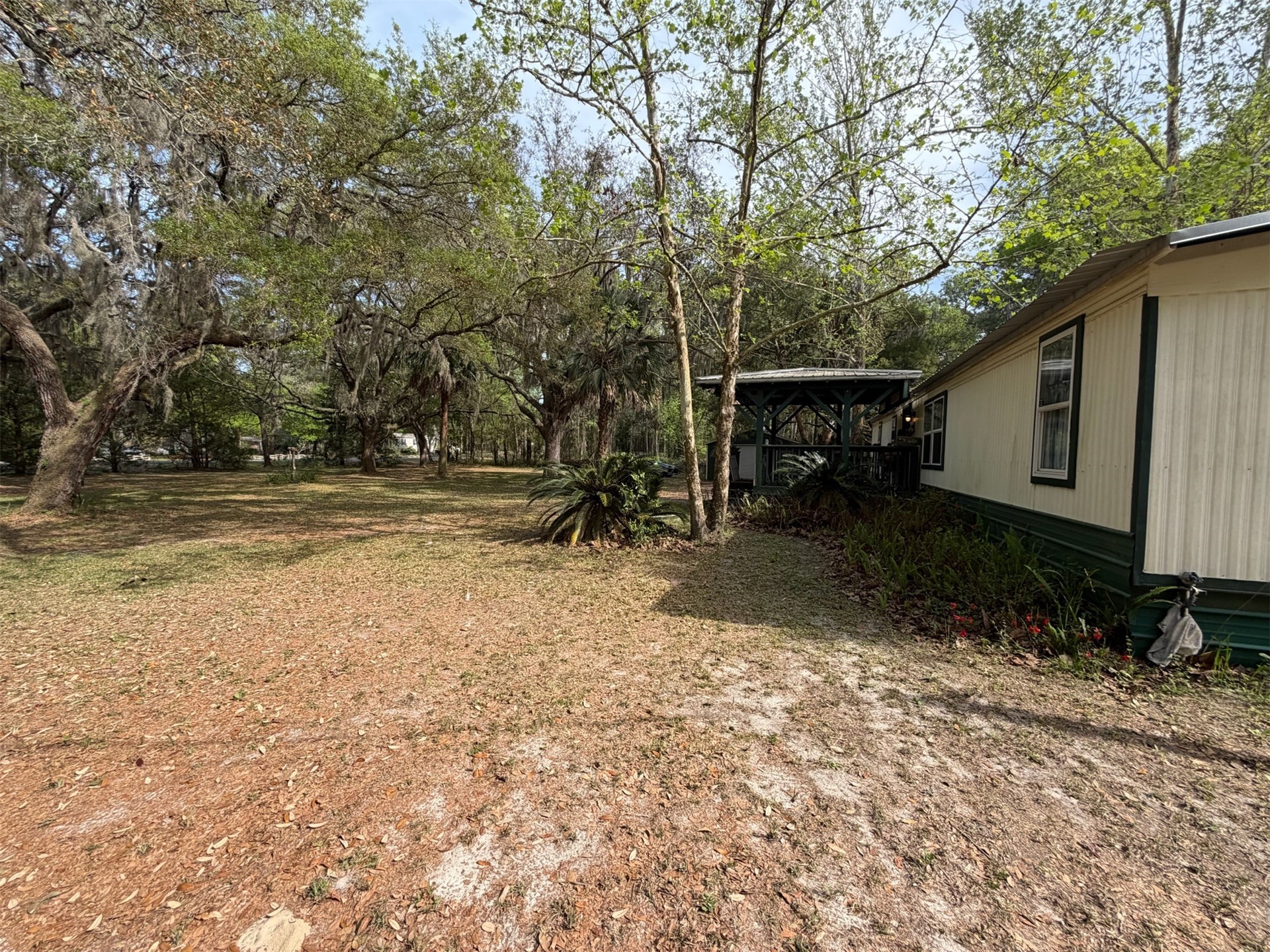 85045 Lonnie Crews Road Fernandina Beach, FL 32034 - Photo 2 of 28 a view of backyard with trees