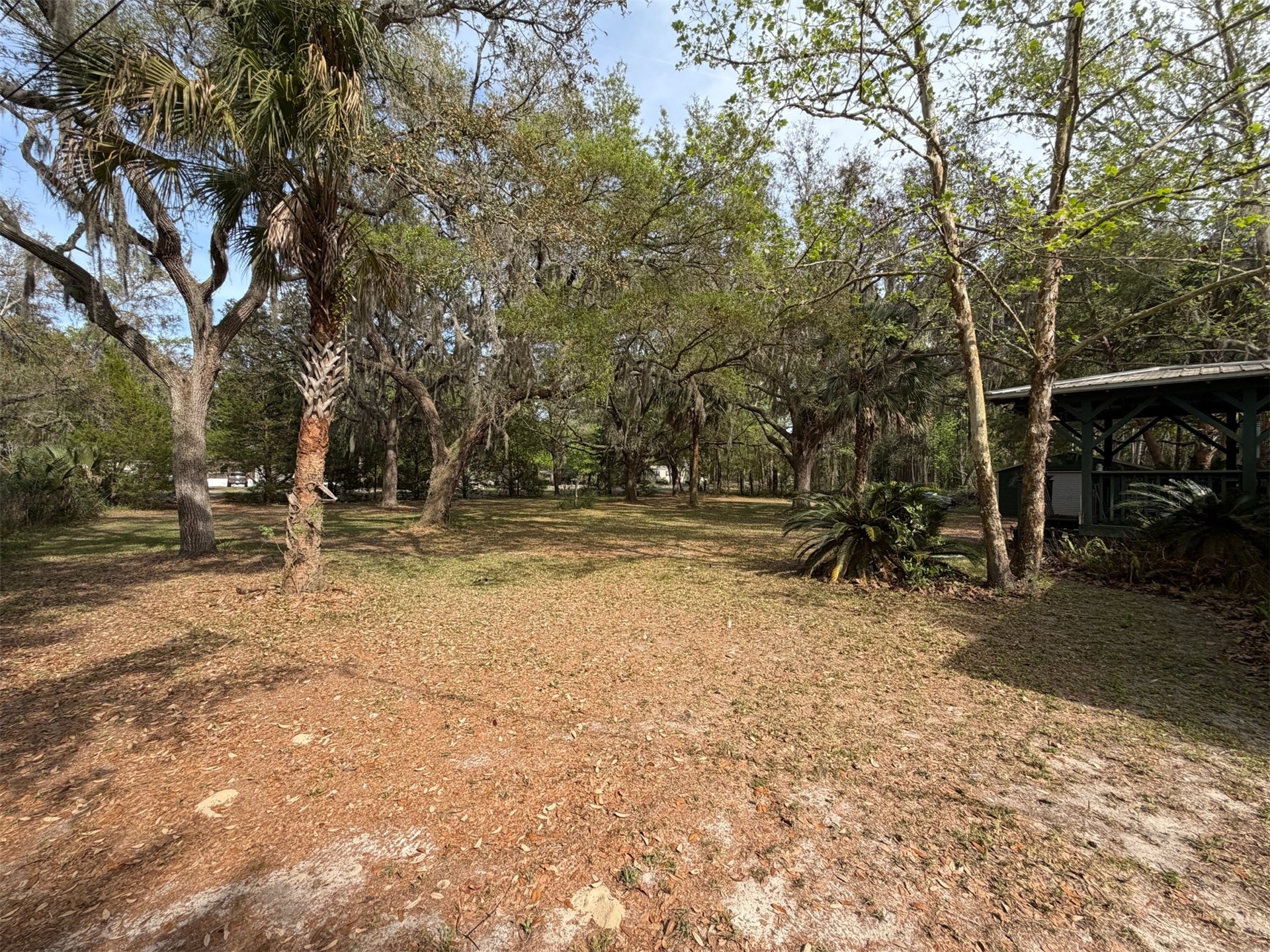 85045 Lonnie Crews Road Fernandina Beach, FL 32034 - Photo 8 of 28 a backyard of a house with lots of green space