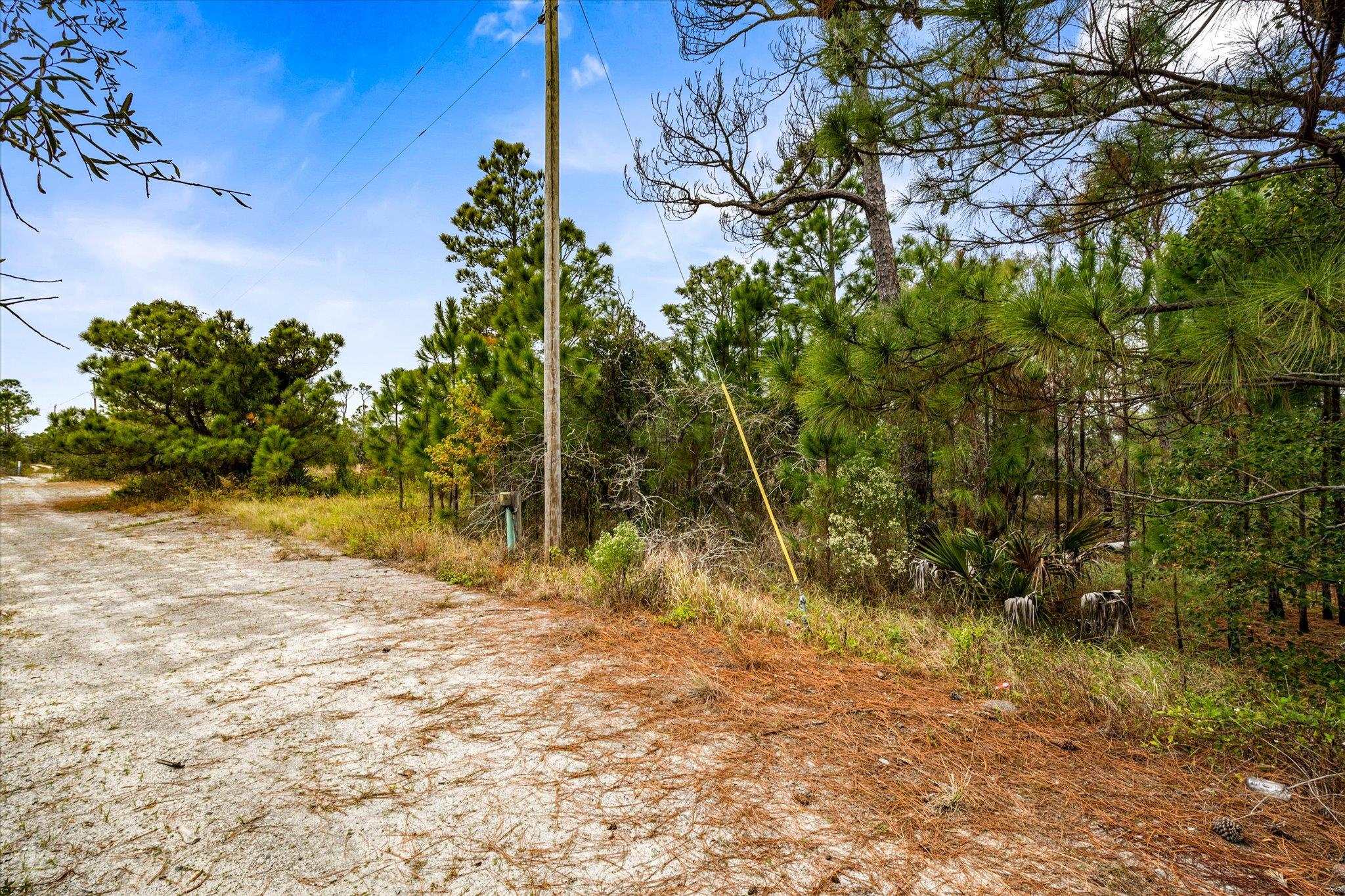8453 Zeanah Road Gulf Shores, AL 36542 - Photo 3 of 6