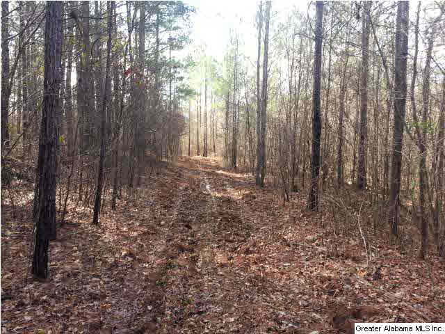 267 County Road, Unit 53 Lanett, AL 36863 - Photo 3 of 9