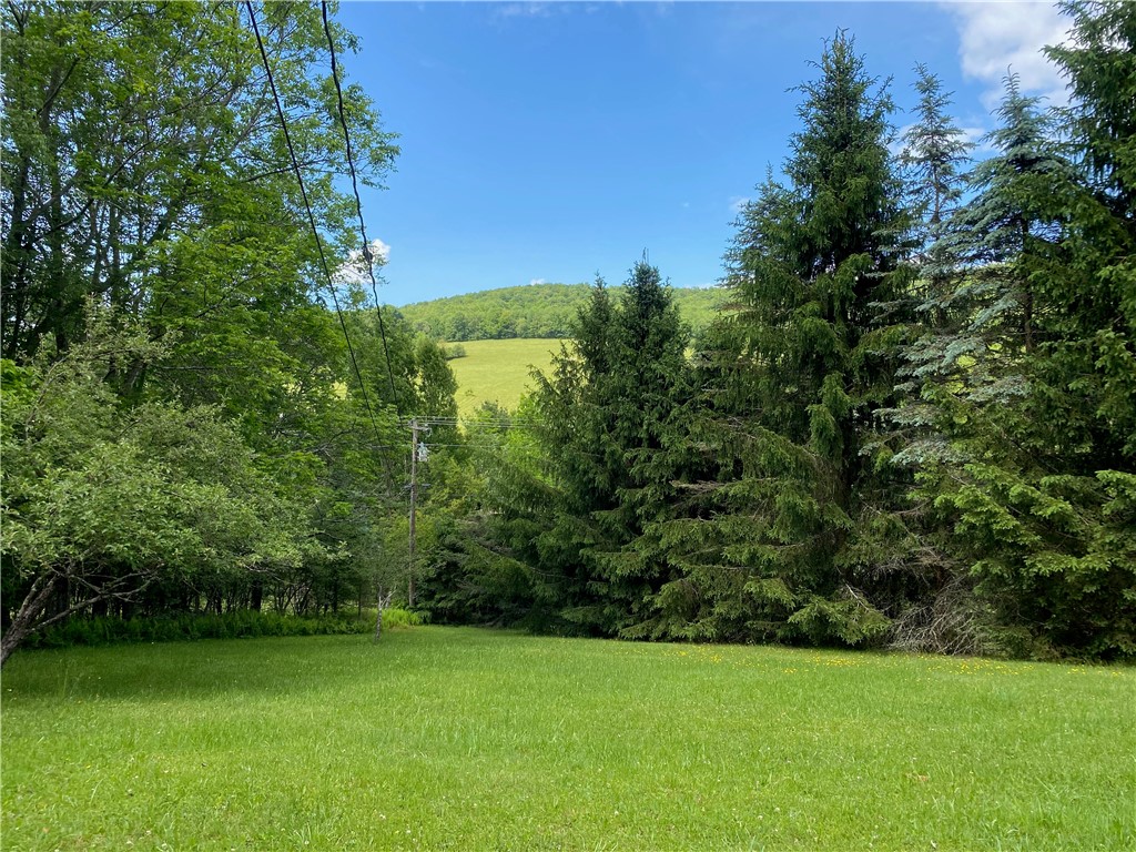 1593 Kiff Brook Road Kortright, NY 13739 - Photo 1 of 1 Gallery Image 1