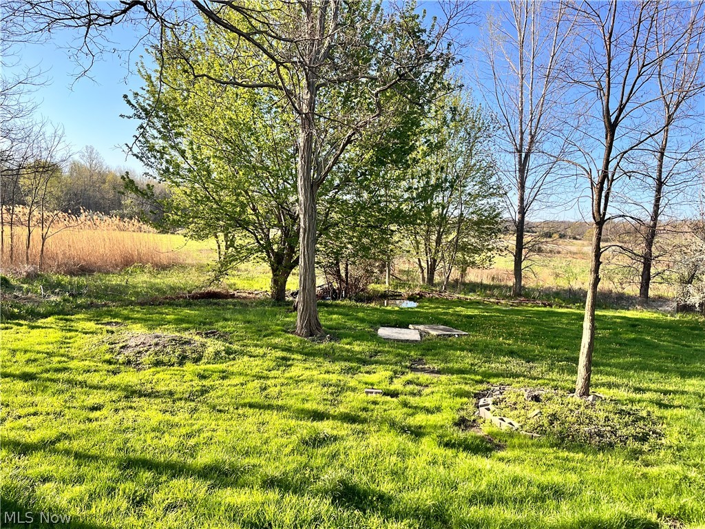 5340 South Ridge Road Madison, OH 44057 - Photo 10 of 12
