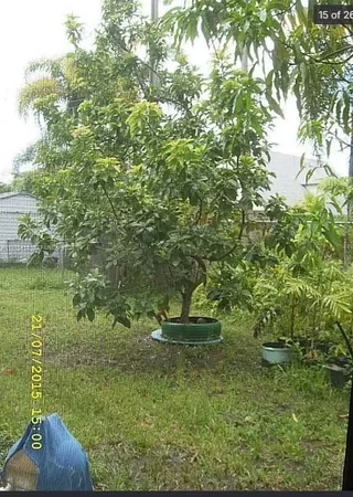 $580,000 | 16501 Southwest 102nd Court, Miami, FL 33157