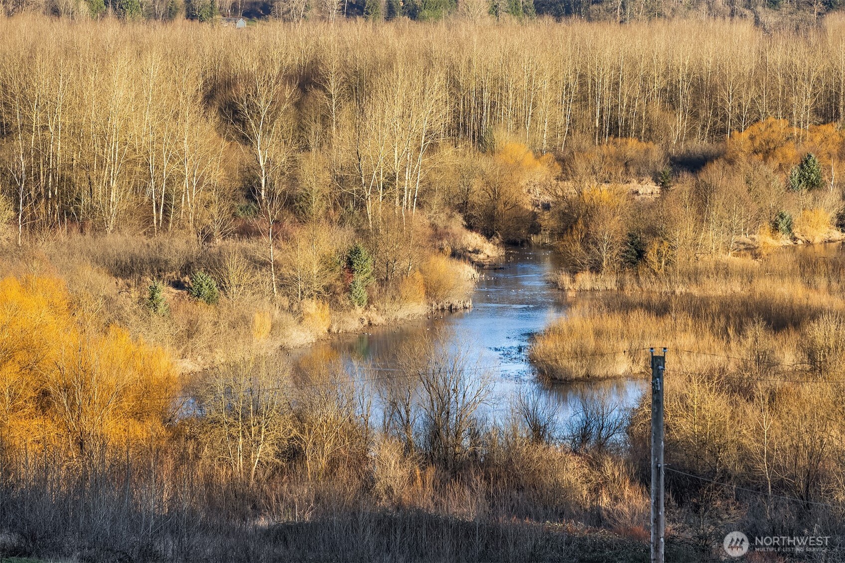 23430 High Bridge Road Monroe, WA 98272 - Photo 8 of 40