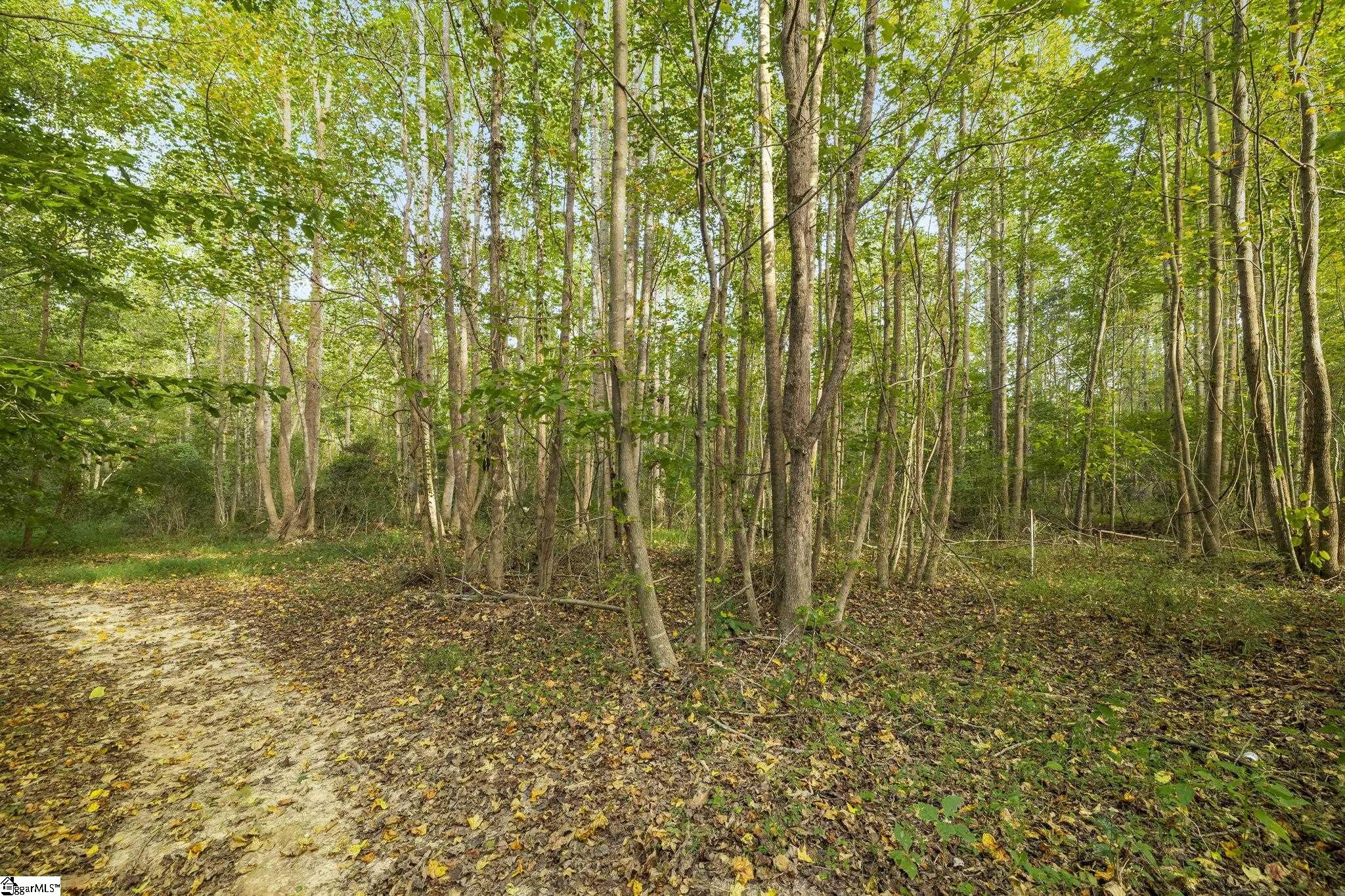 Standing Springs Road Greenville, SC 29605 - Photo 17 of 22 Gallery Image 17